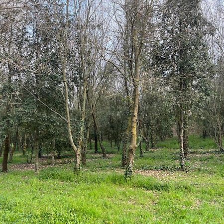 Green Woods Verona Kültér fotó