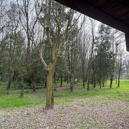 Green Woods Verona Kültér fotó