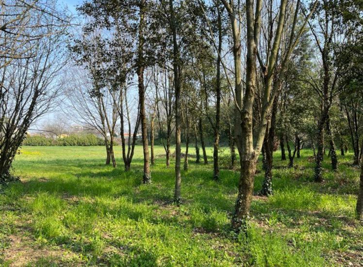 Green Woods Verona Kültér fotó
