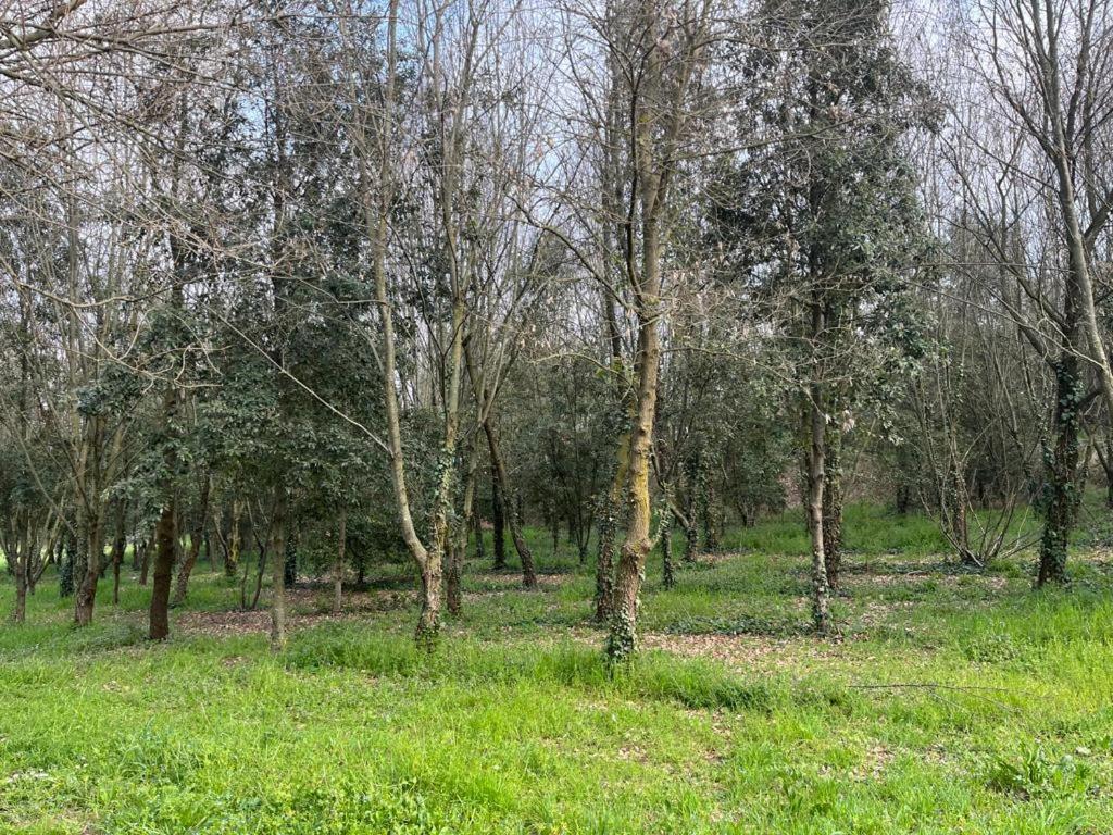 Green Woods Verona Kültér fotó