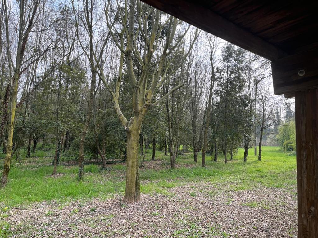 Green Woods Verona Kültér fotó